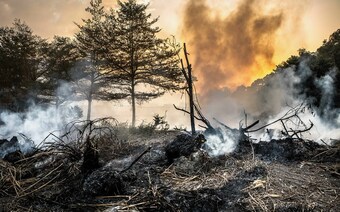 Оценка ущерба после стихийного бедствия в Брянске: отчет оценщика